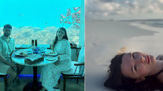 6 метра под морето: Ергенка плати 700 долара, за да обядва с акули СНИМКИ