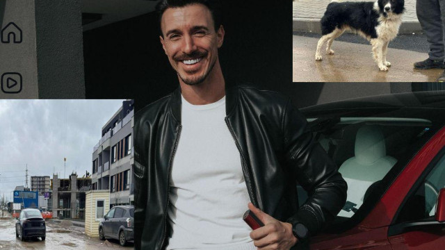 МЕРЗОСТ! Ергенът Виктор Стоянов прегази куче и избяга (Цялата история ТУК)