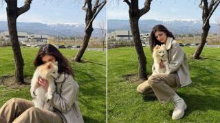 За пример! Актриса от сериала "Ком - Емине" спаси куче без шанс за оцеляване