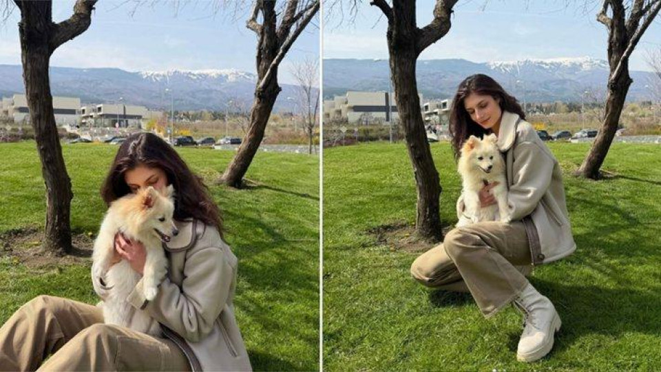 За пример! Актриса от сериала "Ком - Емине" спаси куче без шанс за оцеляване