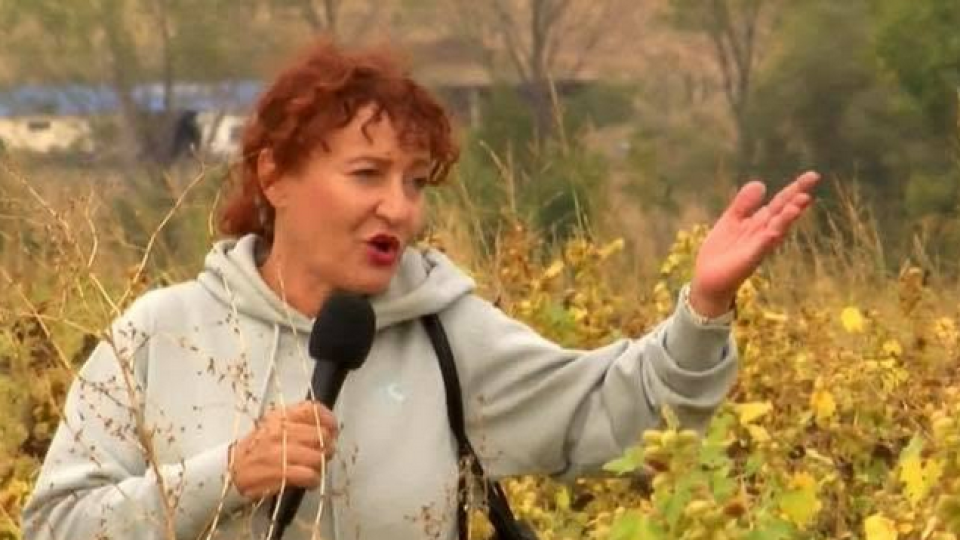 Валя Ахчиева изпъна бръчки