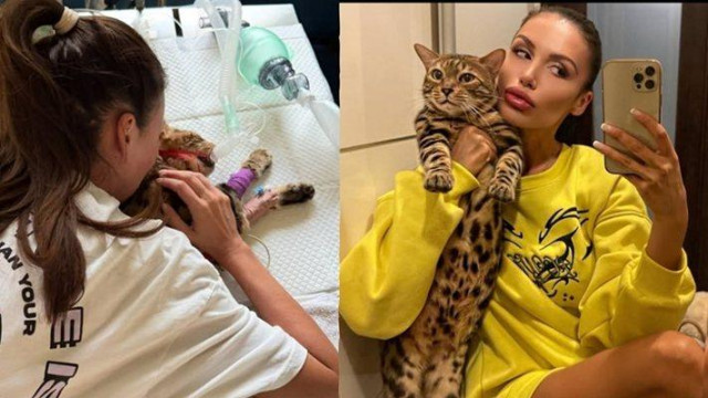 ПЪЛЕН УЖАС! Моника Валериева в истерия – дали не са изхвърлили трупа на котката й на боклука вместо кремация?!